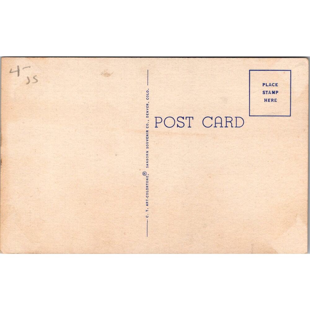 Wild Deer In The Rockies The Wild Game Thru The West Vintage Postcard SPF25 - Picture 2 of 2